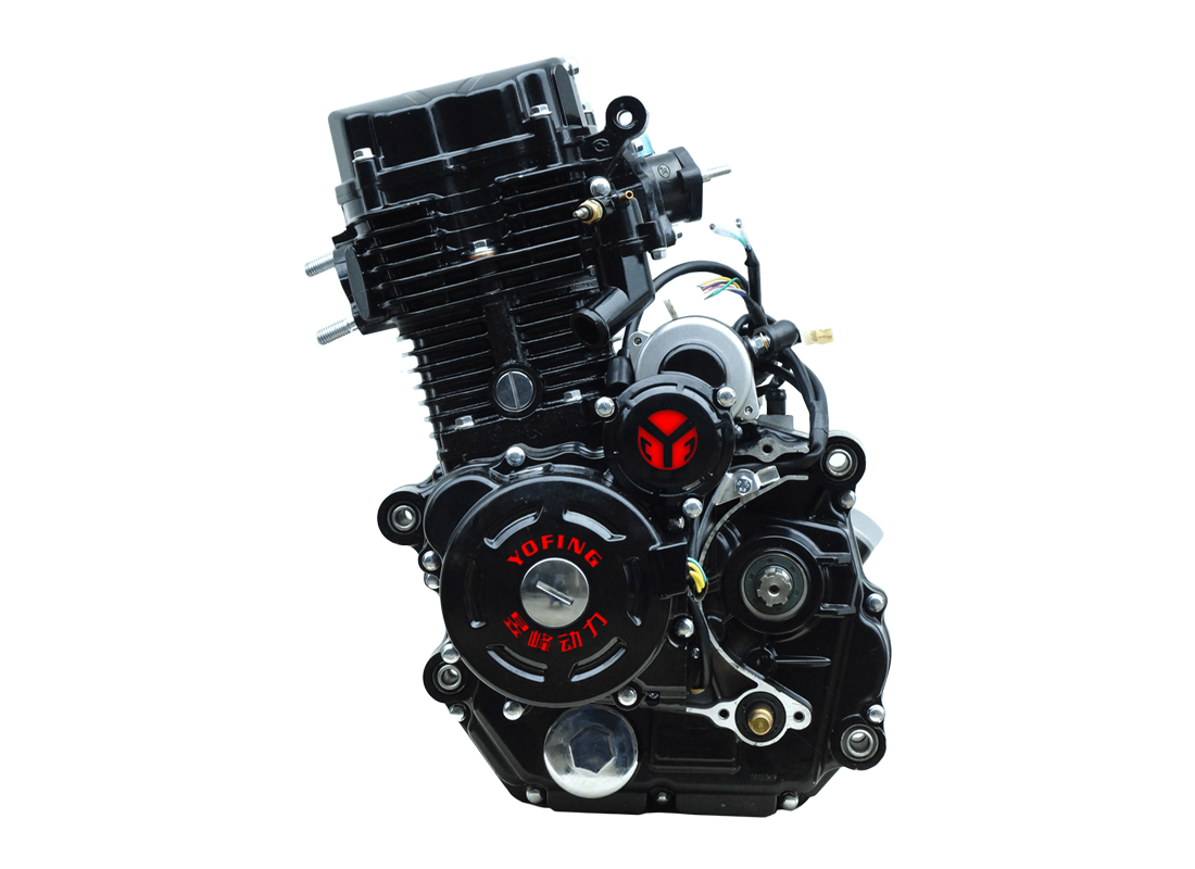 Z250 Water Cooling Tricycle Engine OEM/ODM