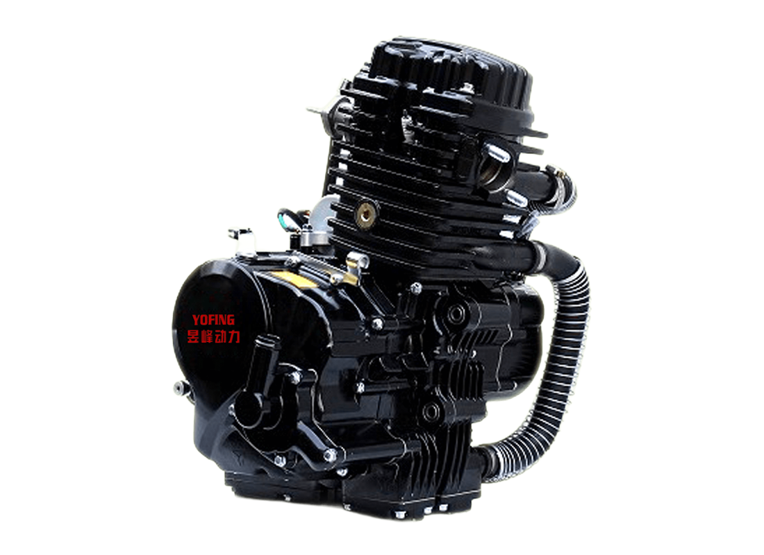 Z300 Water Cooling Tricycle Engine OEM/ODM