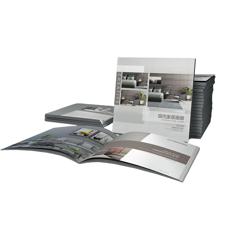 Roll-up banner / Brochure