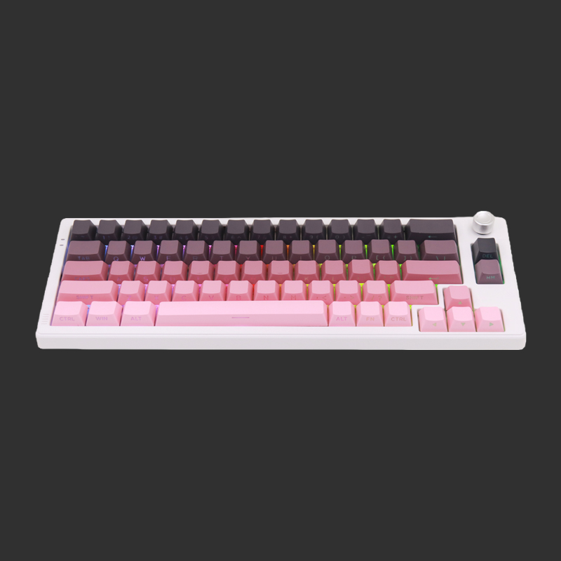 Gaming Keyboards