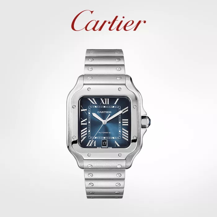 Santos Series Mechanical Watch Steel Watch