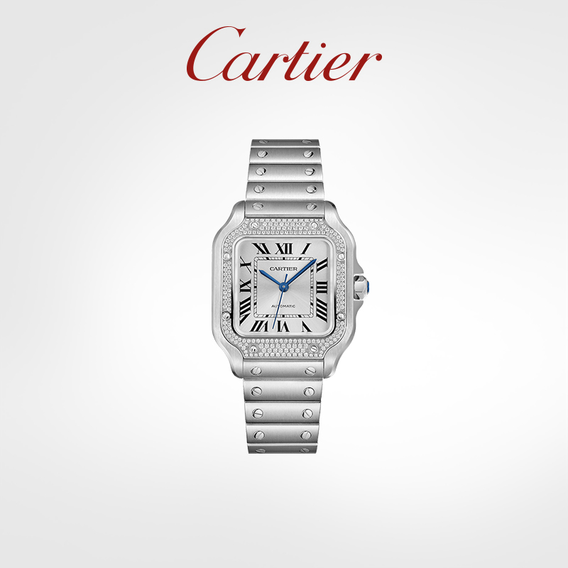 Santos Series mechanical watch, stainless steel with diamonds, interchangeable dual strap watch