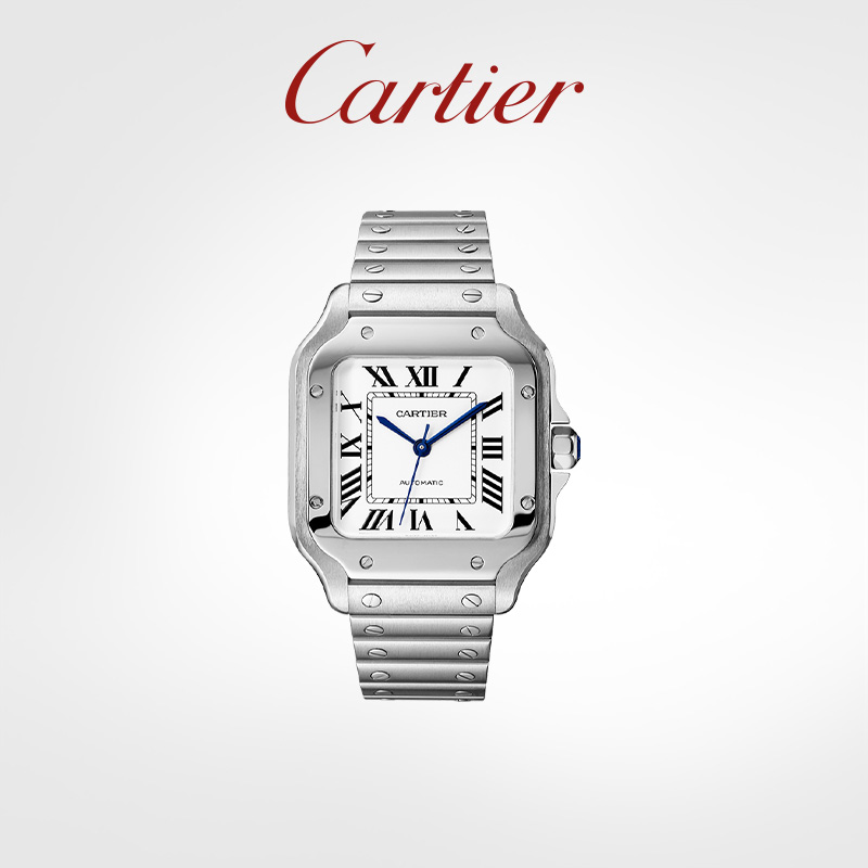 Santos Series Mechanical Watch Steel Watch