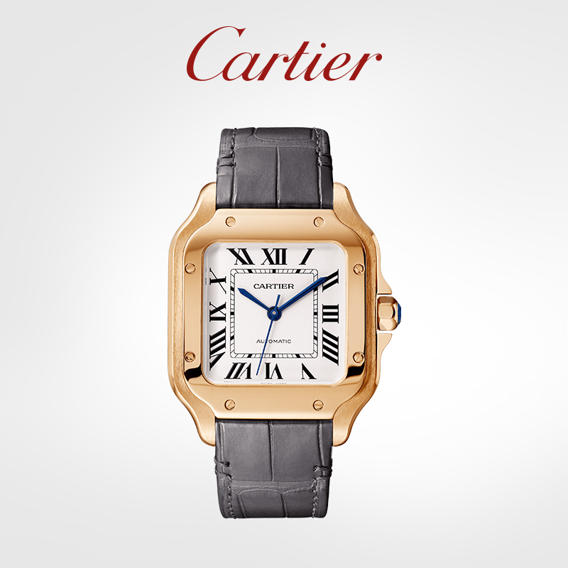 Santos series mechanical watch rose gold interchangeable dual strap watch