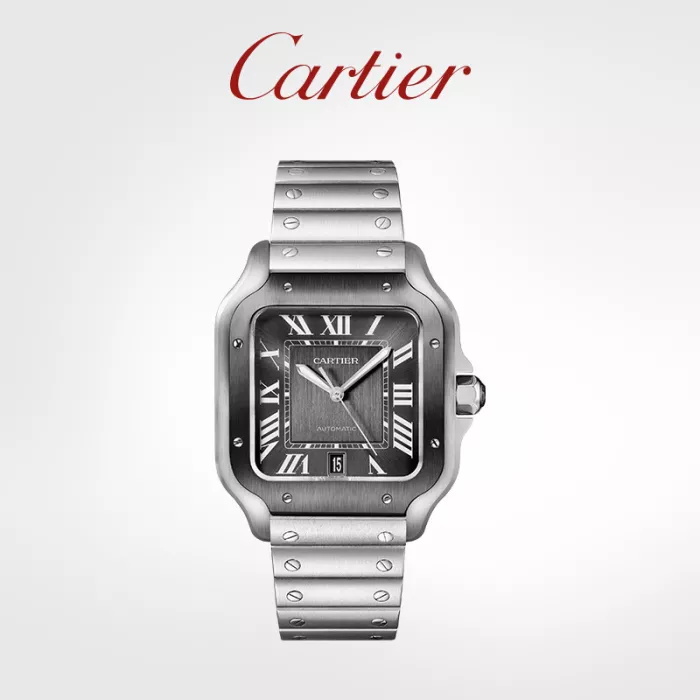 Santos Series Mechanical Watch Steel Watch