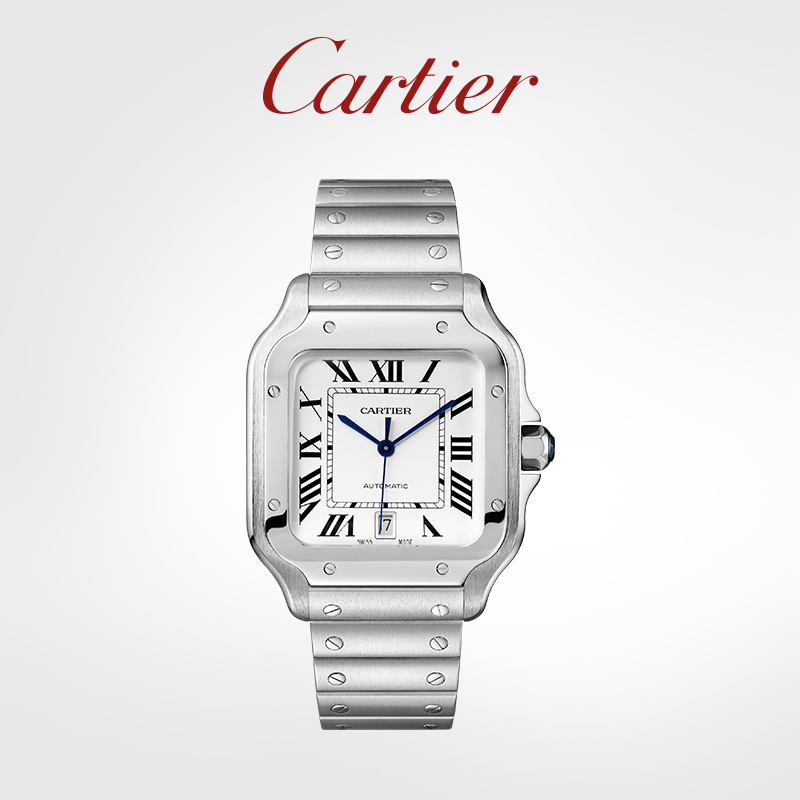 Santos Series Mechanical Watch Steel Watch