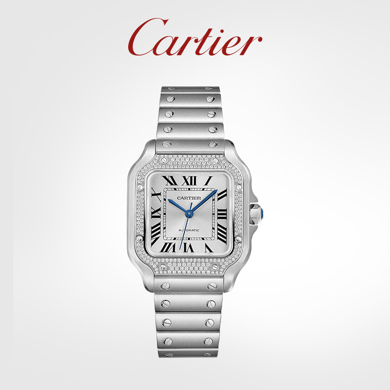 Santos Series mechanical watch, stainless steel with diamonds, interchangeable dual strap watch