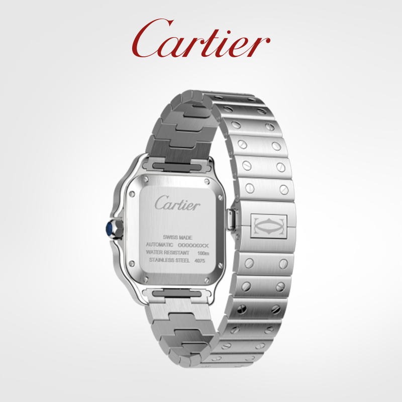 Santos Series Mechanical Watch Steel Watch