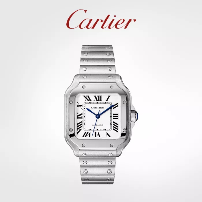 Santos Series Mechanical Watch Steel Watch