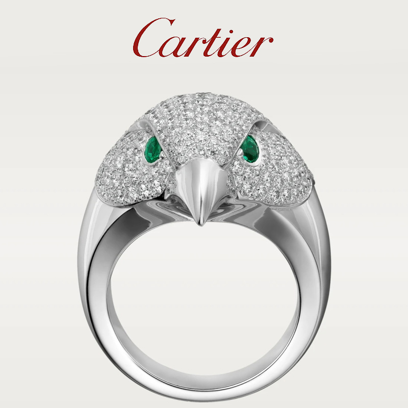 LES OISEAUX LIBÉRÉS RING