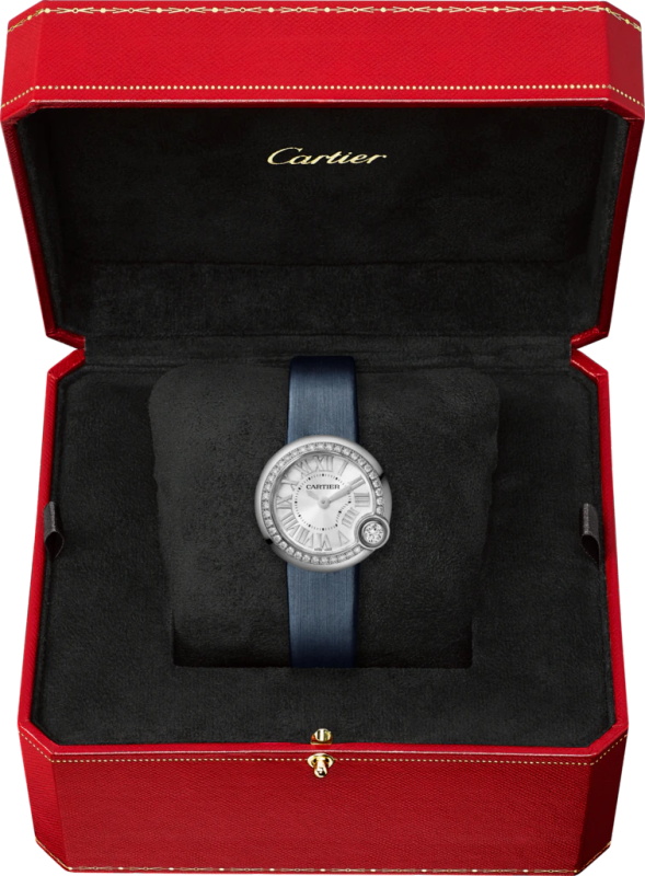 BALLON BLANC DE WATCH