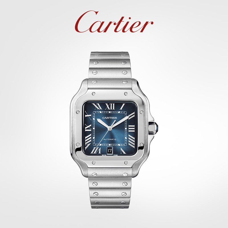 Santos Series Mechanical Watch Steel Watch