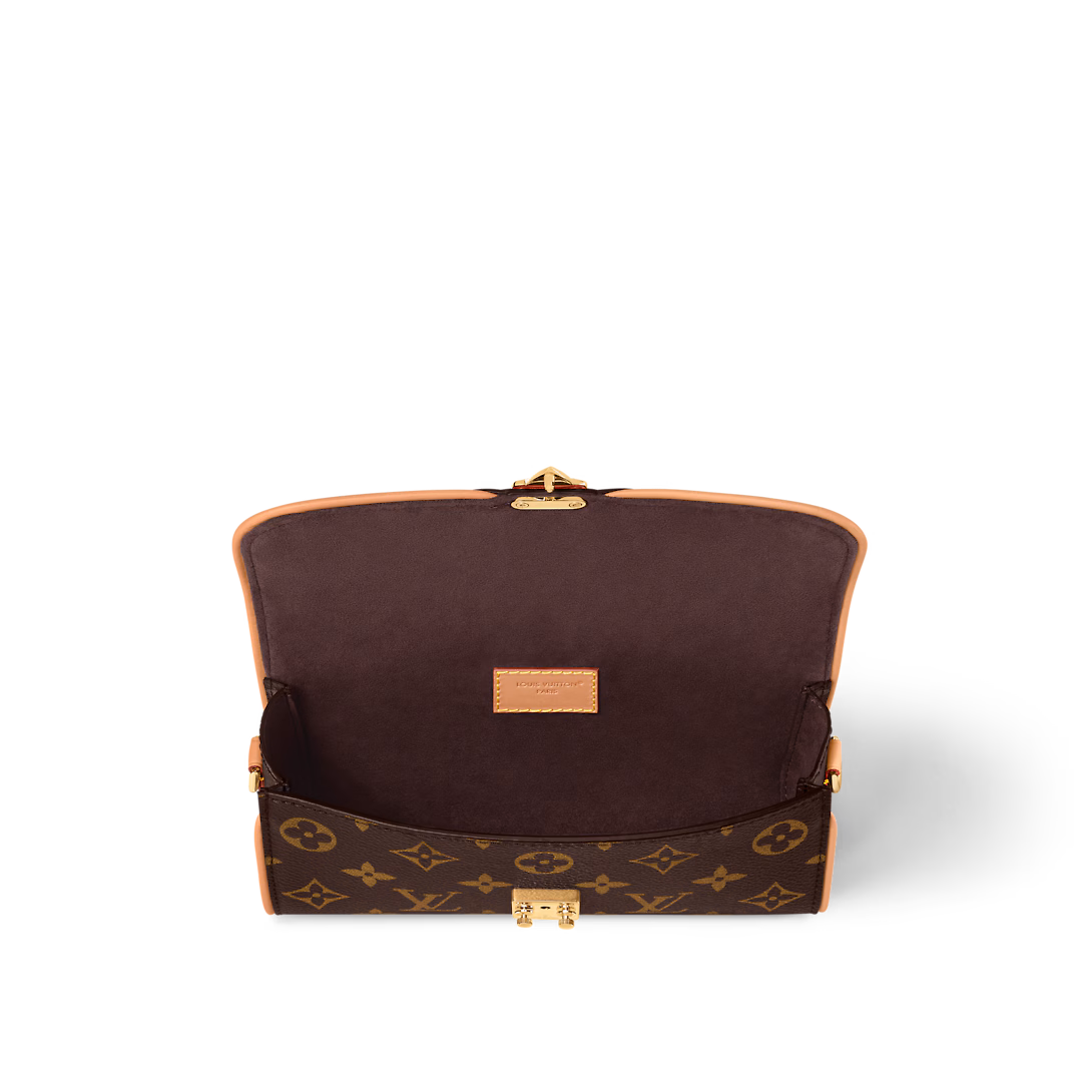 （Special Offer）Louis Vuitton bags POCHETTE CAMILLE handbags