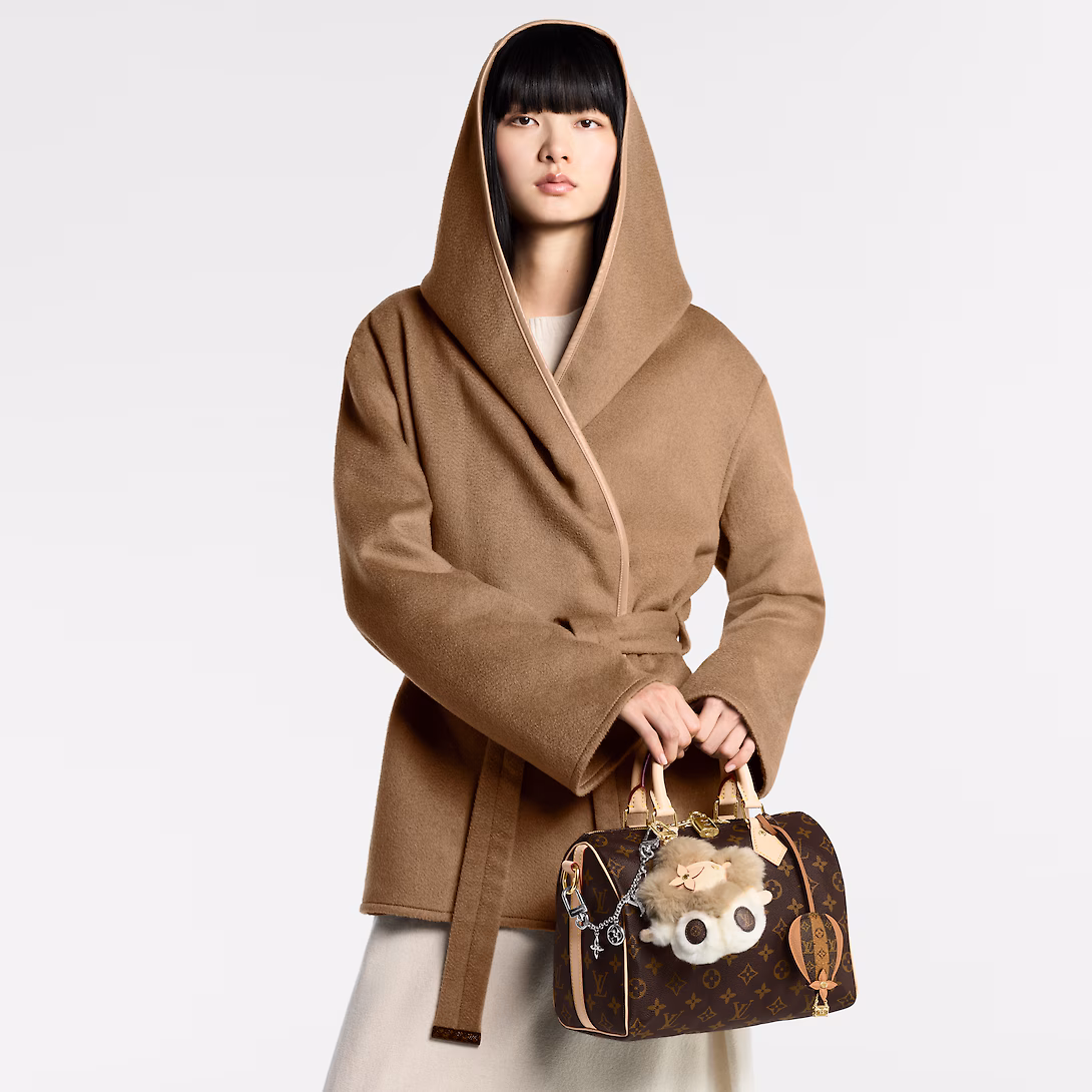 Louis Vuitton Bags SPEEDY BANDOULIÈRE 25 Handbag