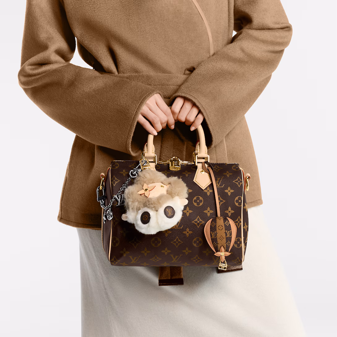 Louis Vuitton Bags SPEEDY BANDOULIÈRE 25 Handbag