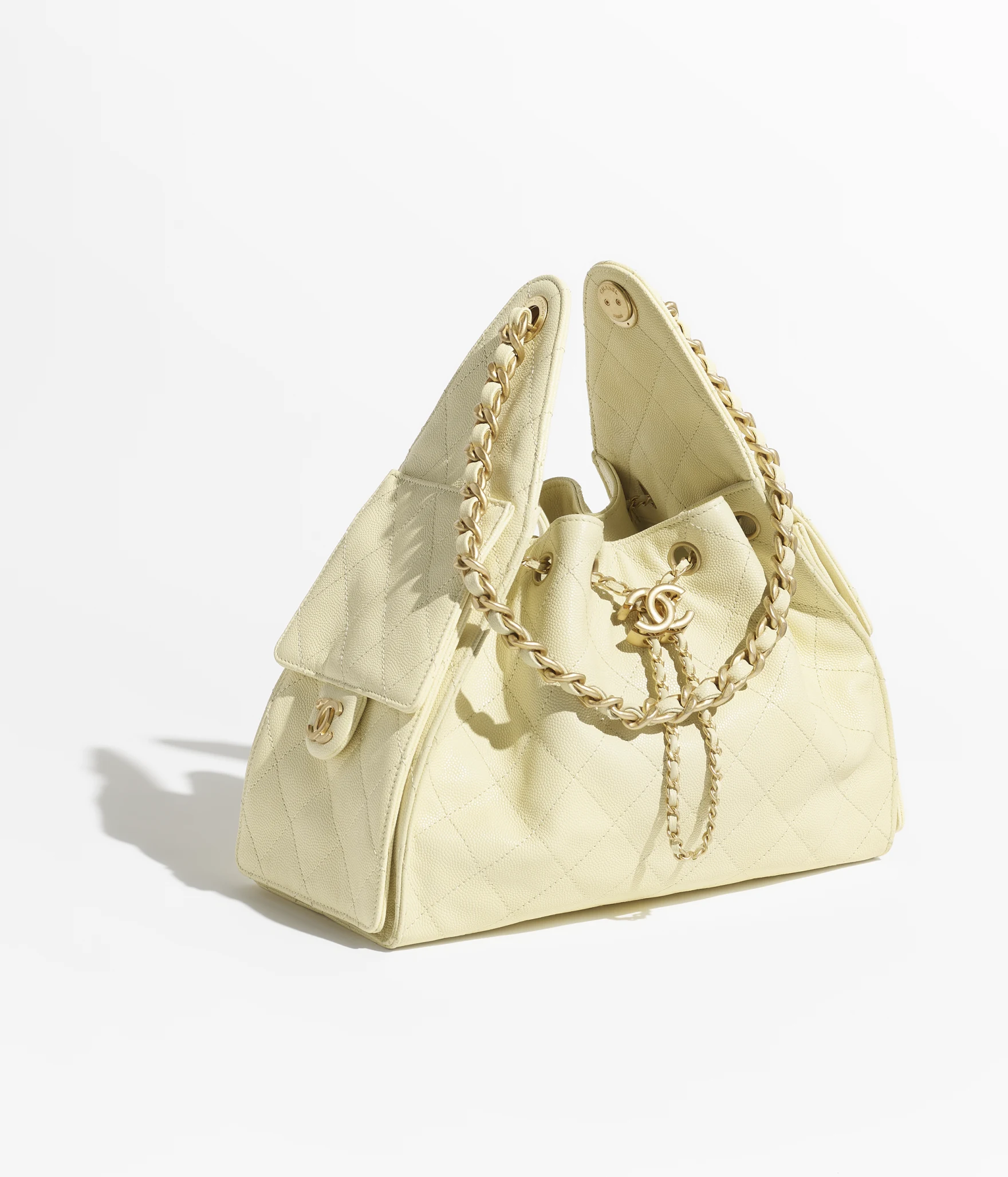 Chanel Bags CHANEL 25 Medium and Large Handbags