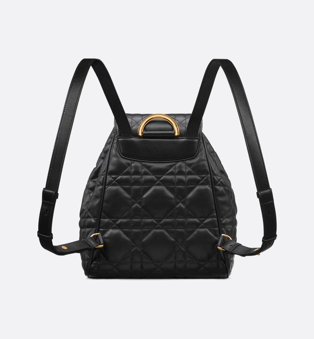(Special Offer)Dior Caro Backpack Medium