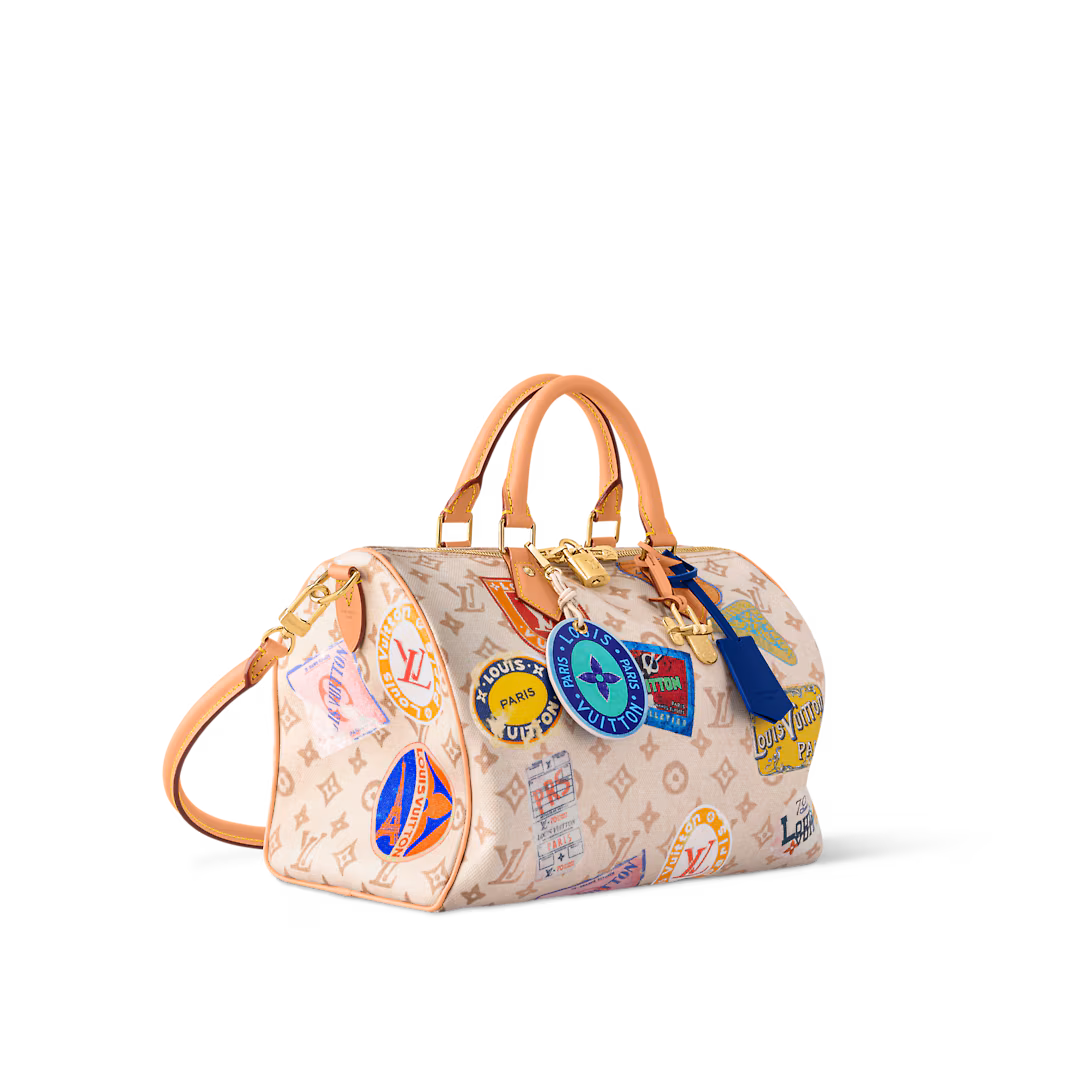 Louis Vuitton Bags SPEEDY SOFT 30 Handbag