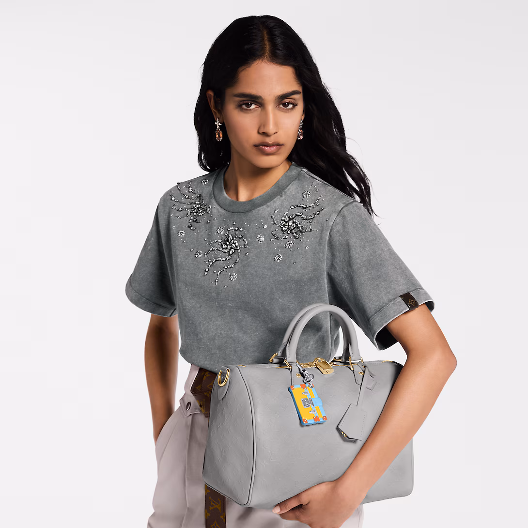 Louis Vuitton Bags SPEEDY SOFT 30 Handbag