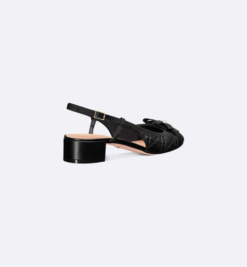 Dior Shoes Dior Ballet Slingback Pumps