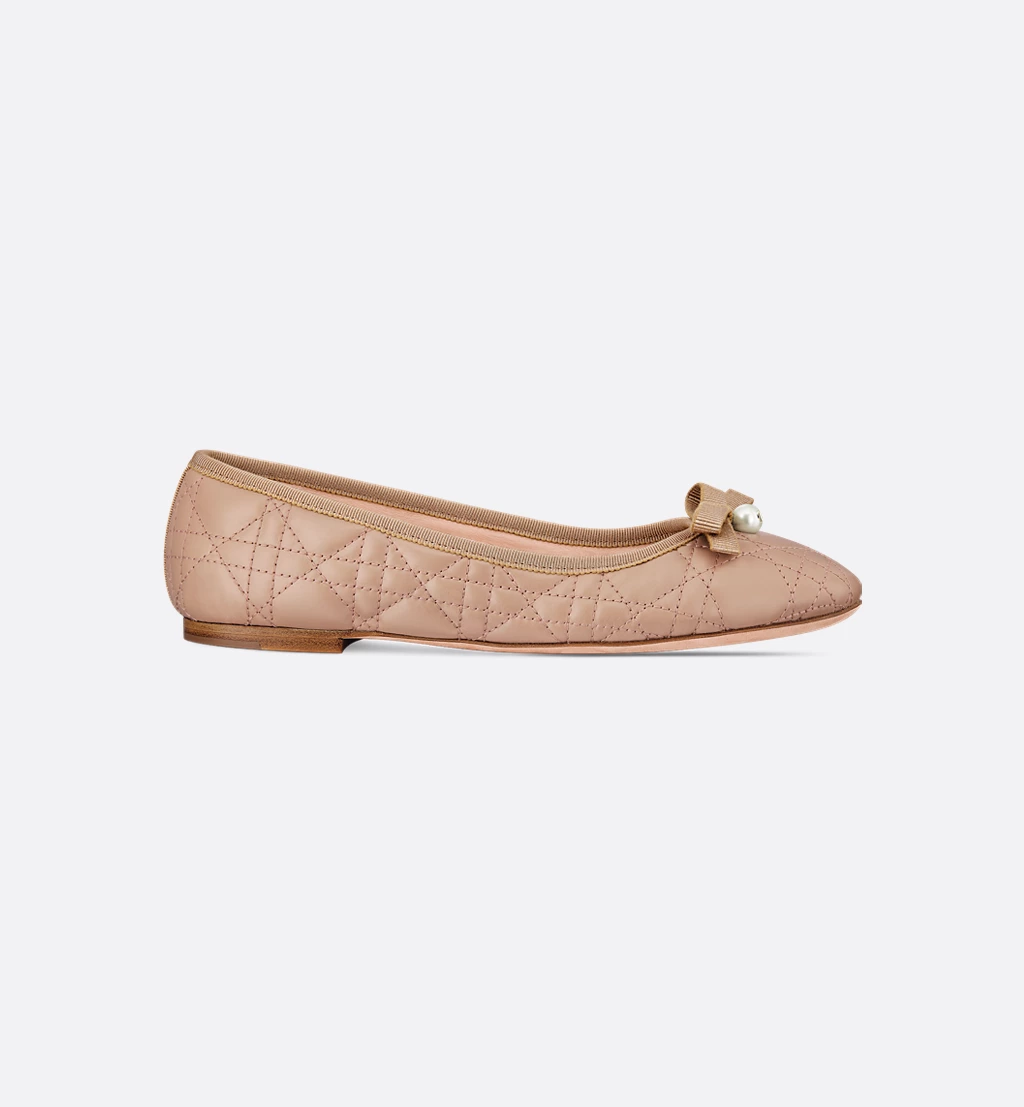 Dior shoes Dior ballet flats
