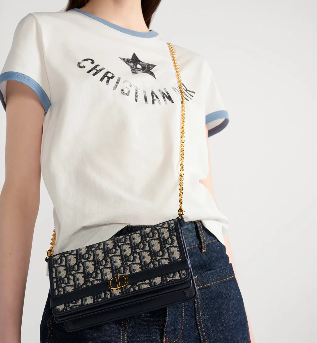 Dior Bag 30 Montaigne Cigale Chain Handbag