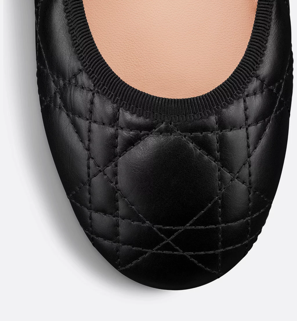 Dior shoes Dior ballet flats