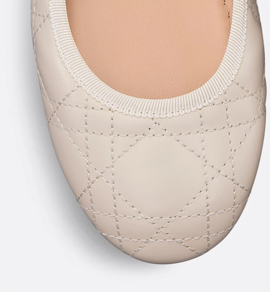 Dior shoes Dior ballet flats