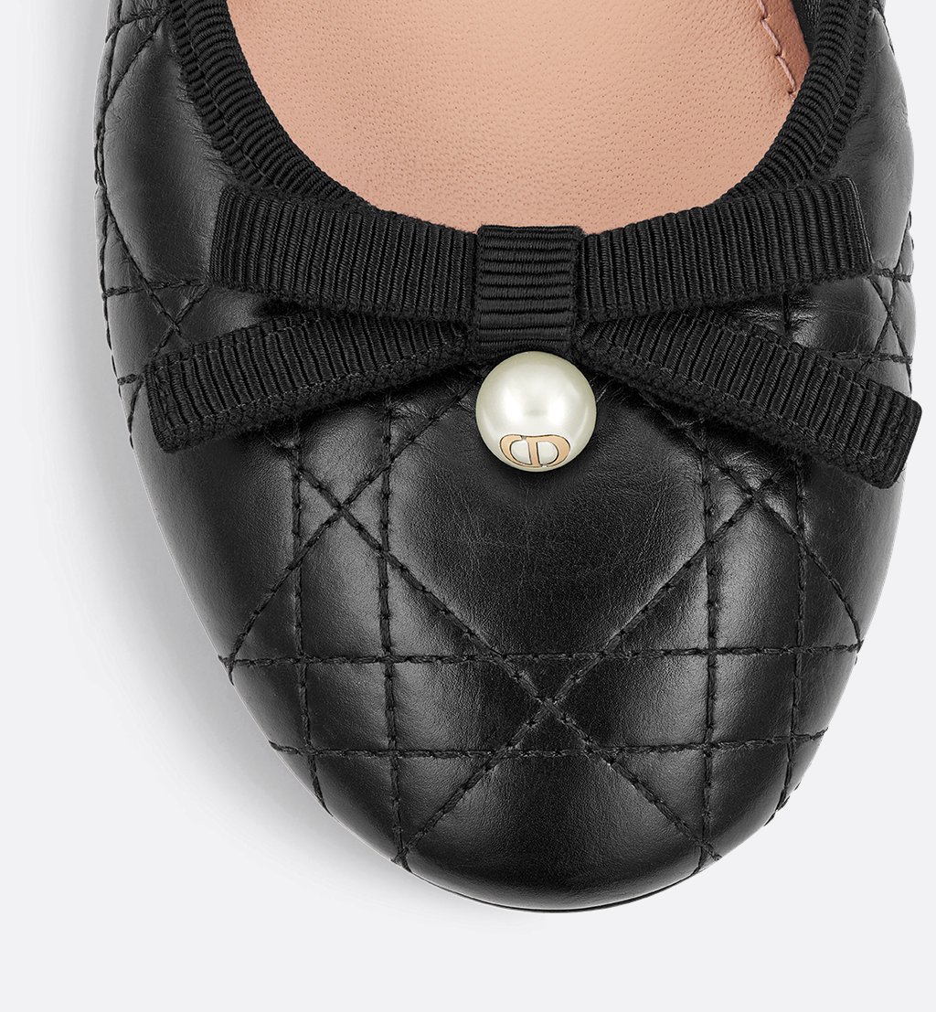 Dior shoes Dior ballet flats