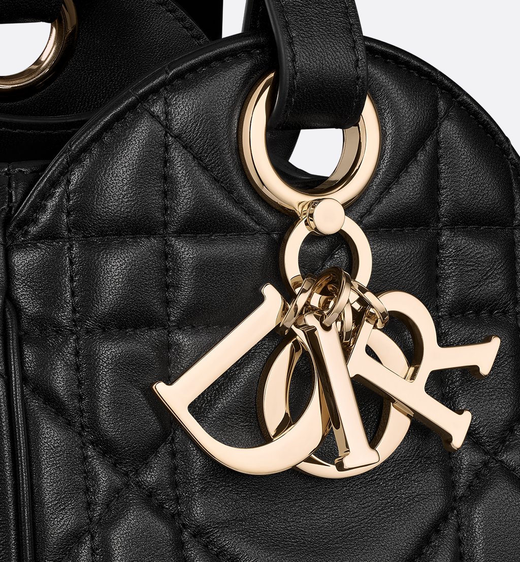 Dior Bags Medium D-Motion Bag