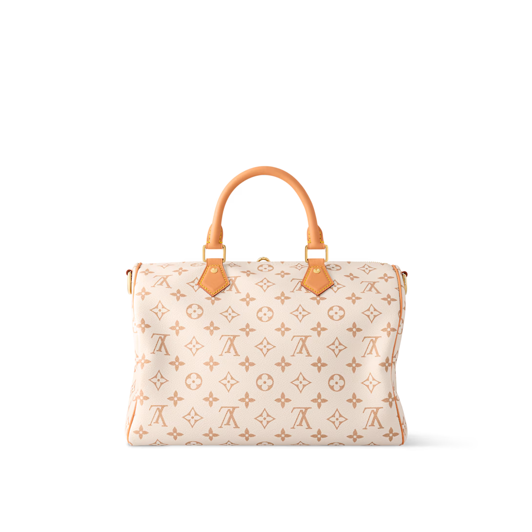 Louis Vuitton SPEEDY SOFT 30 LUCKY handbag