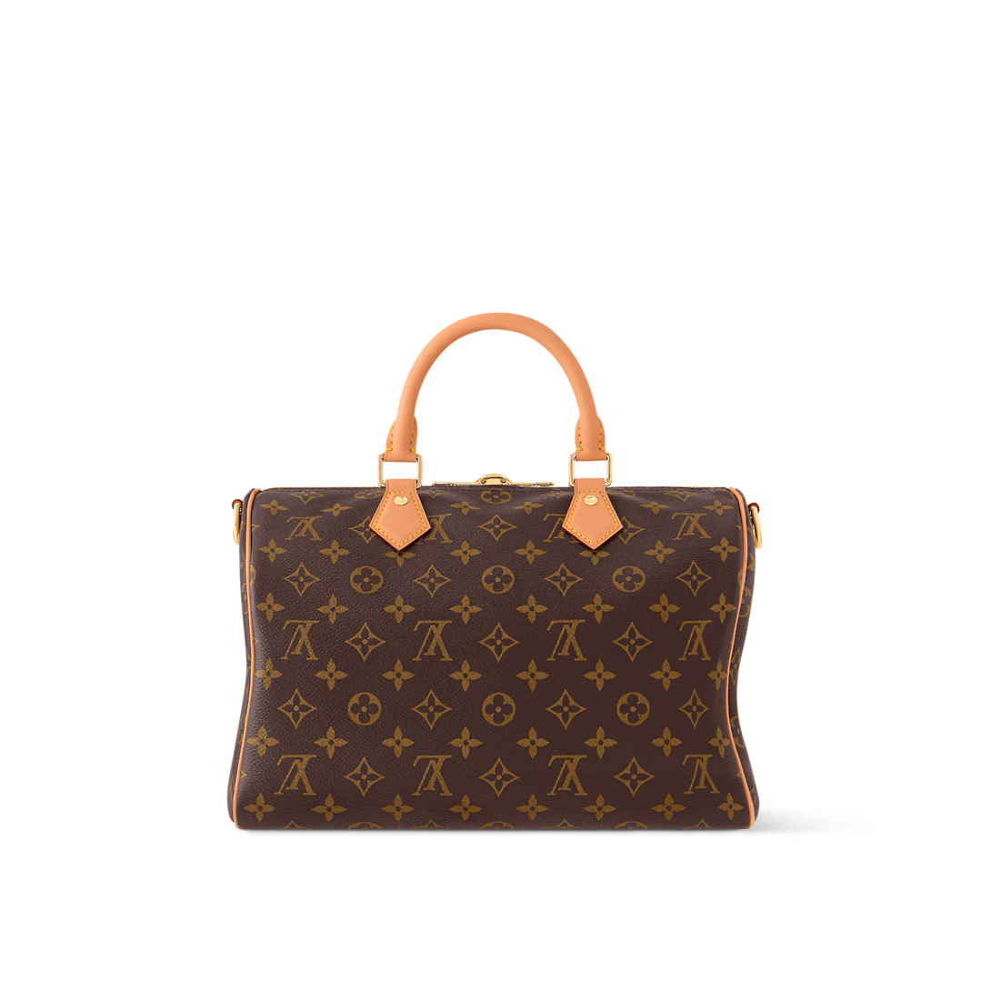 Louis Vuitton SPEEDY SOFT 30 LUCKY handbag