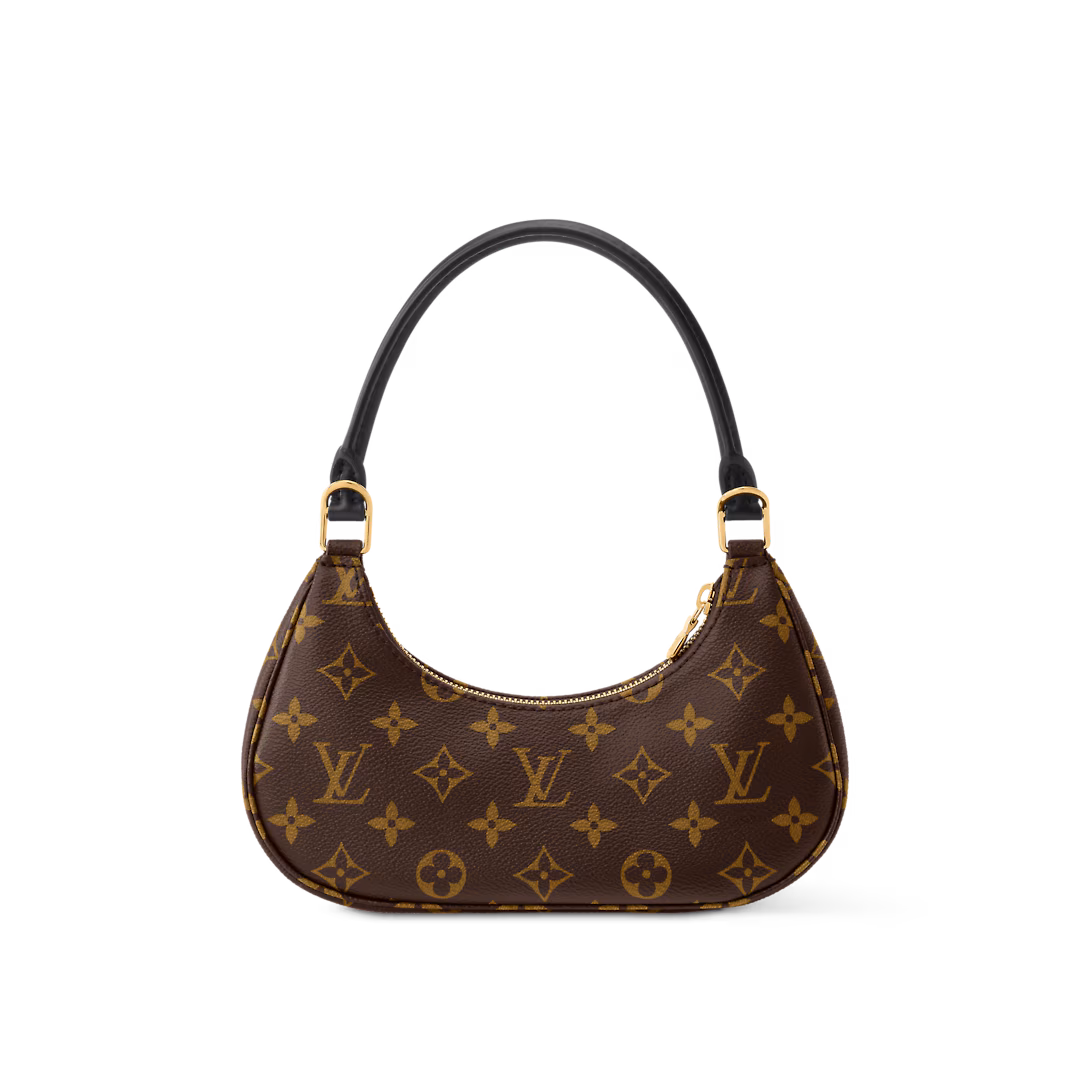 Louis Vuitton Bags CATCHY Small Handbag
