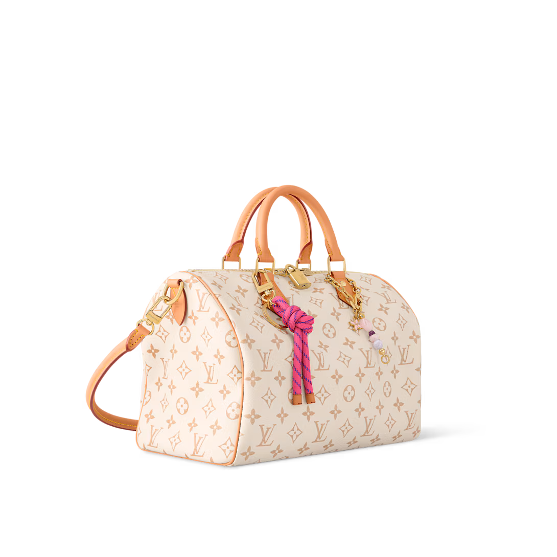 Louis Vuitton SPEEDY SOFT 30 LUCKY handbag