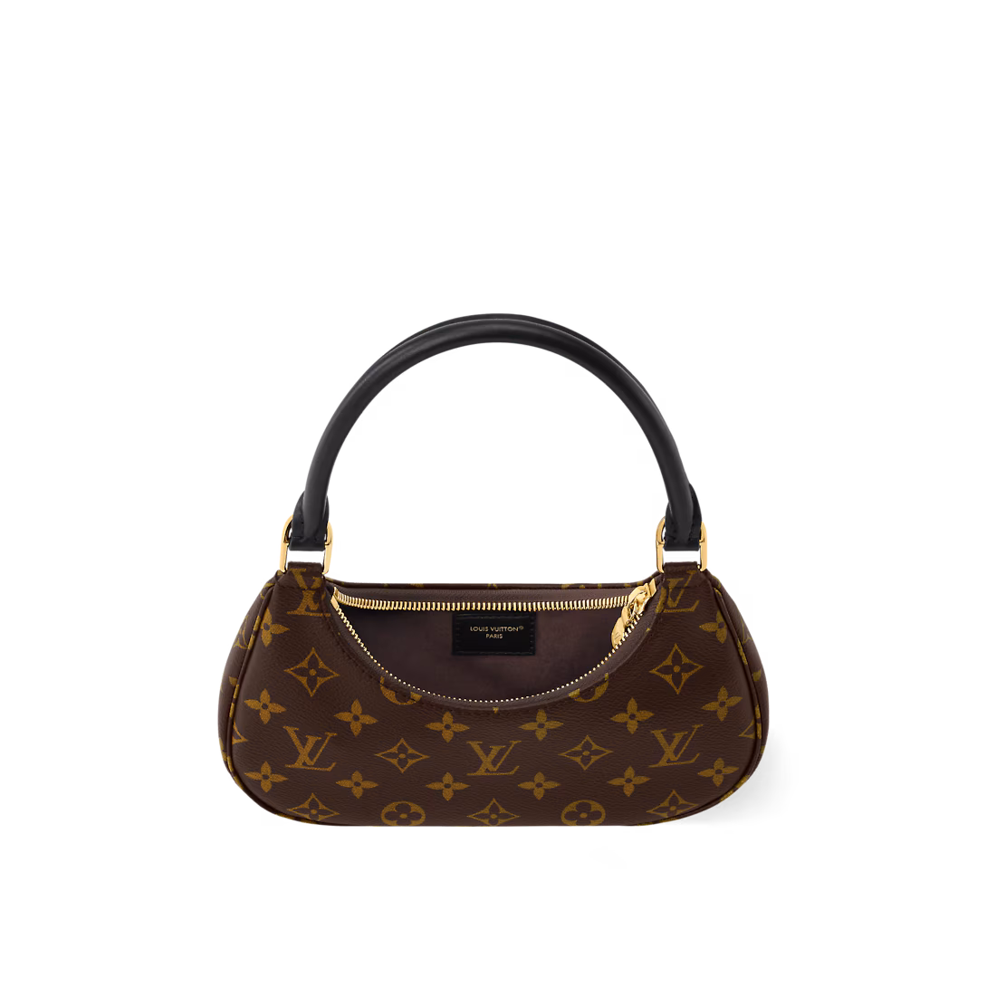 Louis Vuitton Bags CATCHY Small Handbag