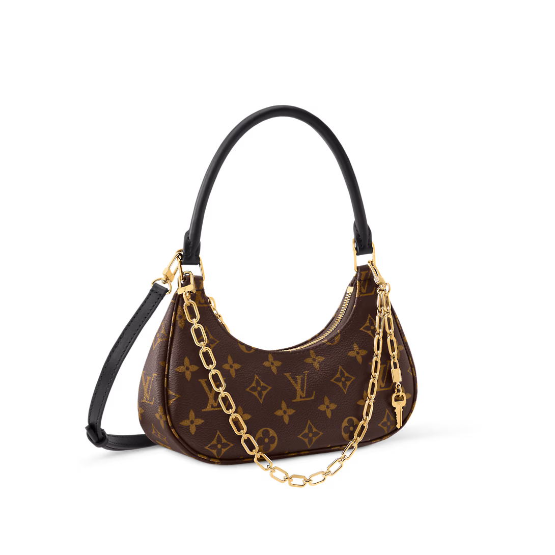 Louis Vuitton Bags CATCHY Small Handbag