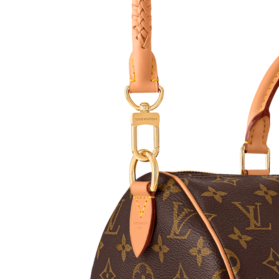 Louis Vuitton SPEEDY SOFT 30 LUCKY handbag