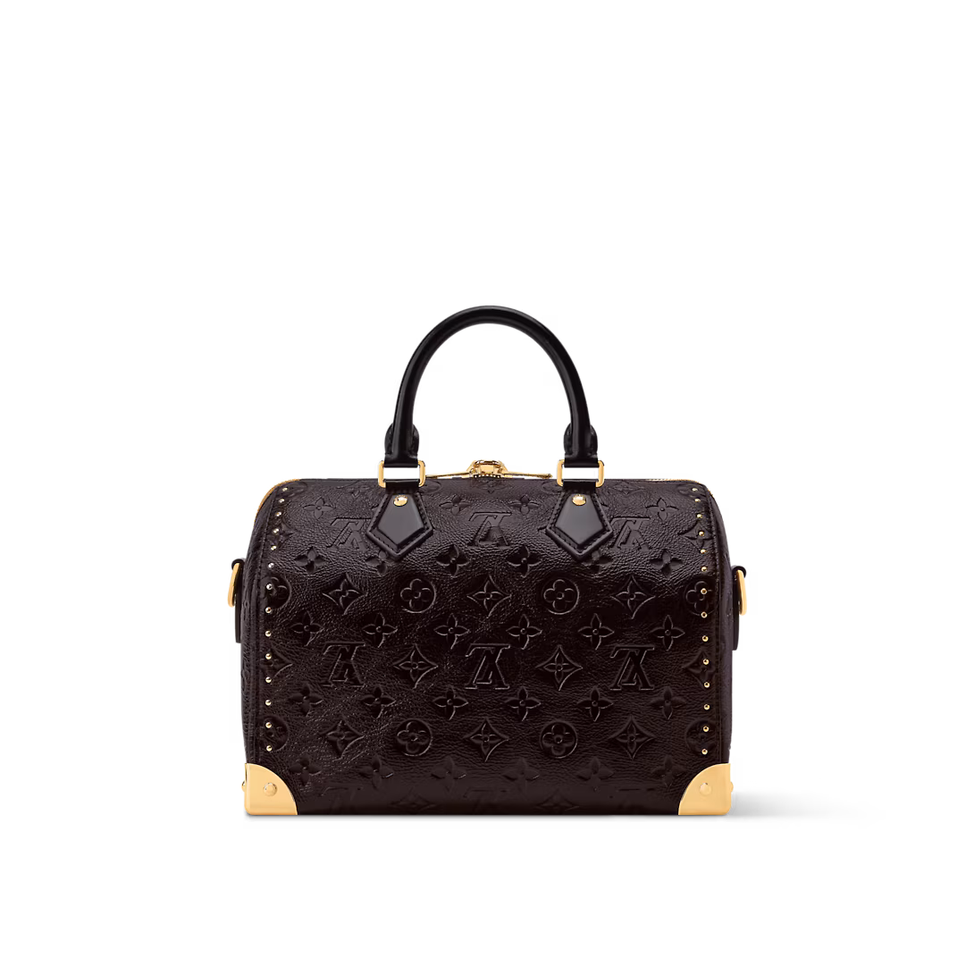 Louis Vuitton SPEEDY TRUNK 25 handbag