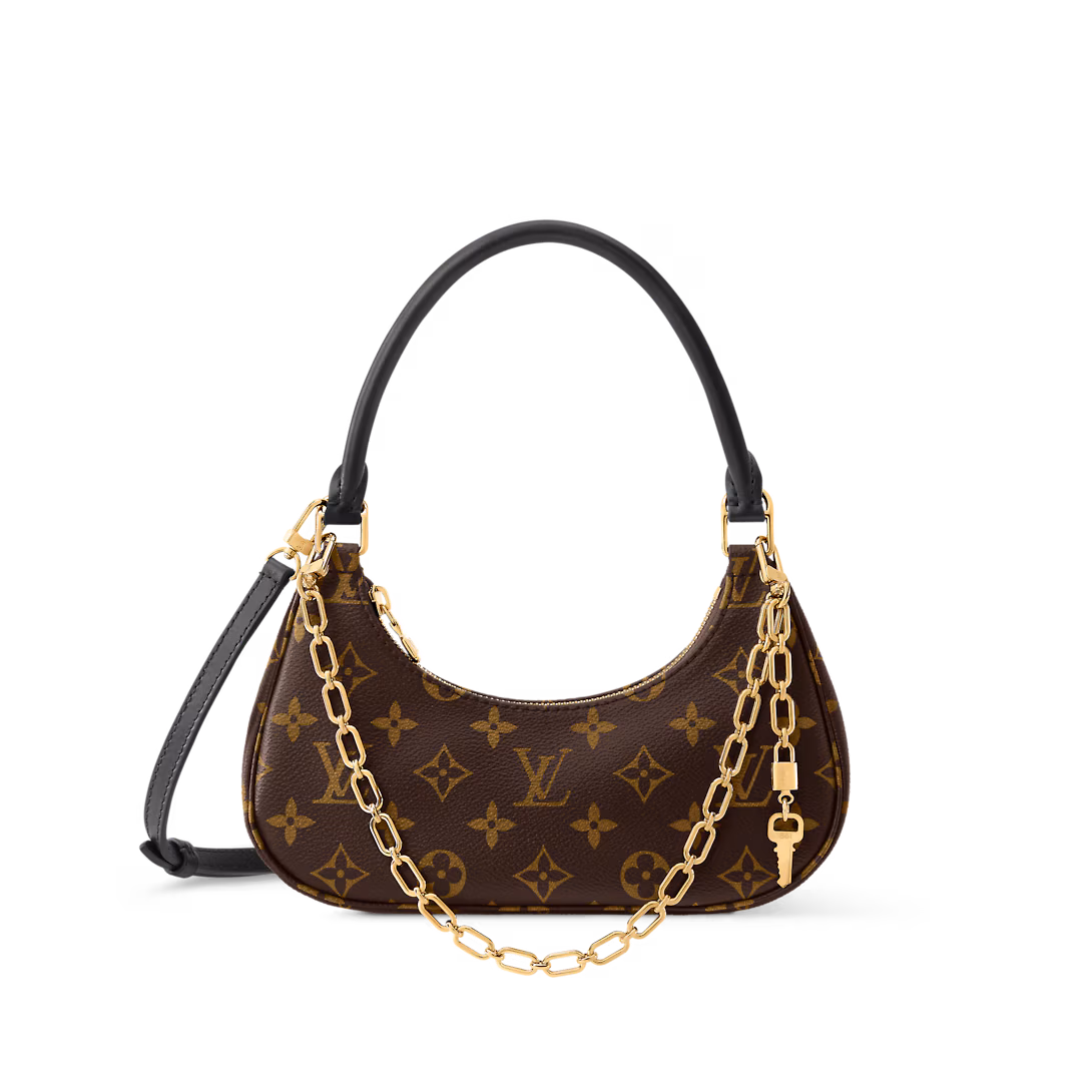 Louis Vuitton Bags CATCHY Small Handbag