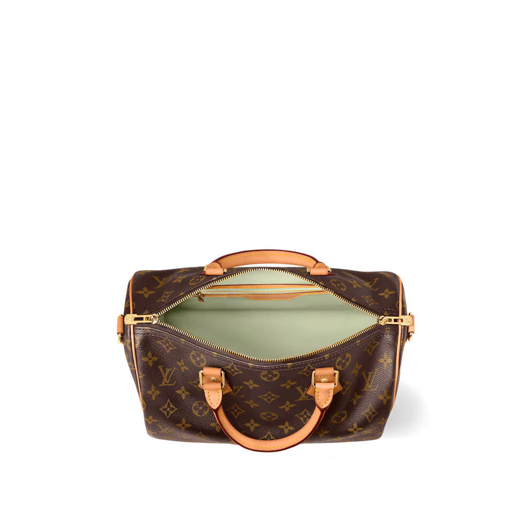 Louis Vuitton SPEEDY SOFT 30 LUCKY handbag
