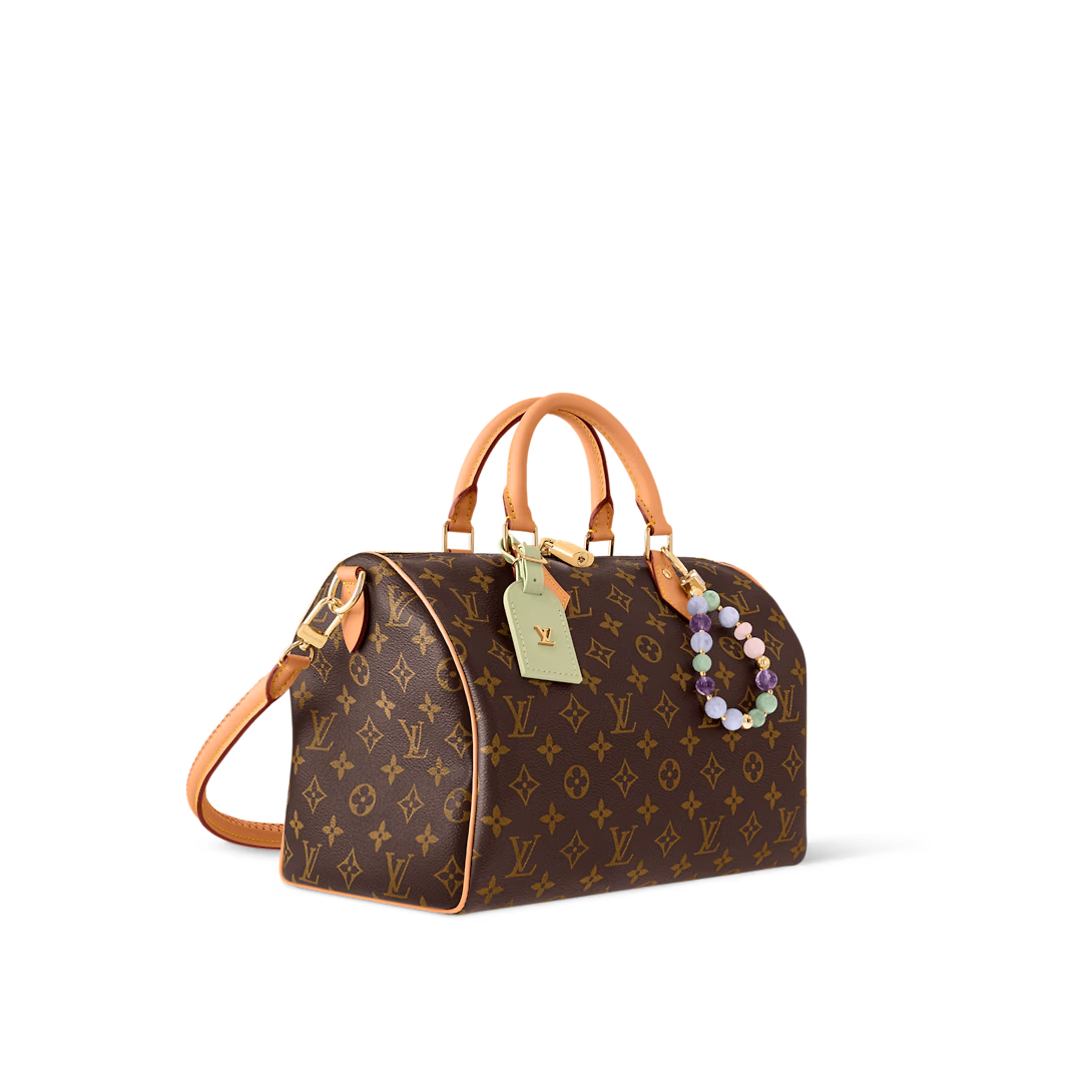 Louis Vuitton SPEEDY SOFT 30 LUCKY handbag