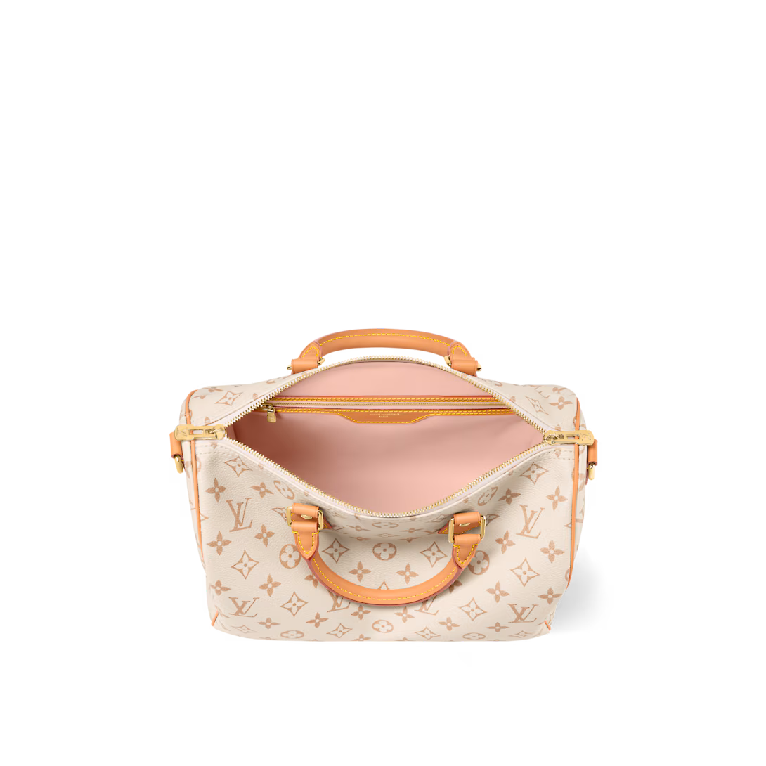 Louis Vuitton SPEEDY SOFT 30 LUCKY handbag
