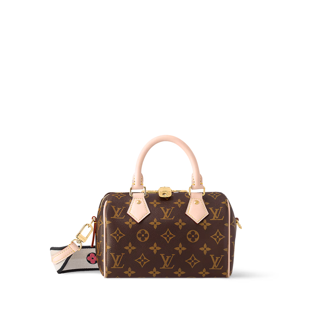 Louis Vuitton SPEEDY BANDOULIÈRE 20 handbag
