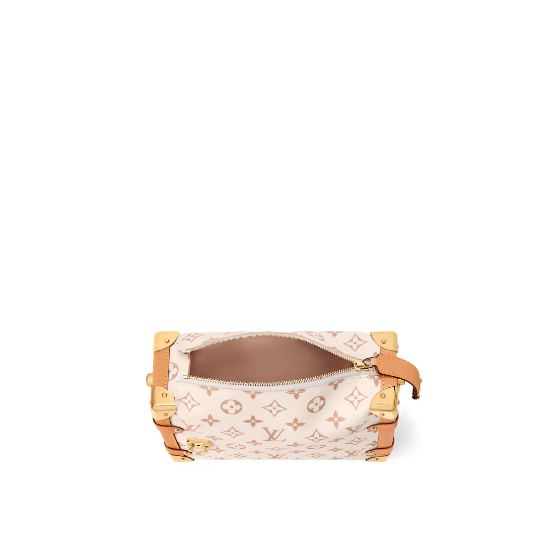 Louis Vuitton SIDE TRUNK Medium Handbag