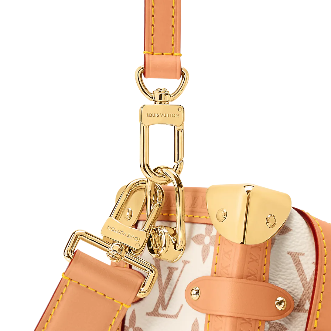 Louis Vuitton SIDE TRUNK Medium Handbag