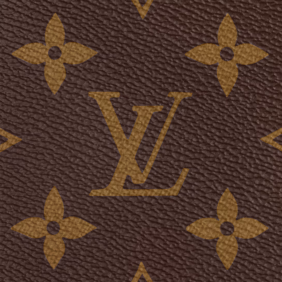 Louis Vuitton SPEEDY BANDOULIÈRE 20 handbag