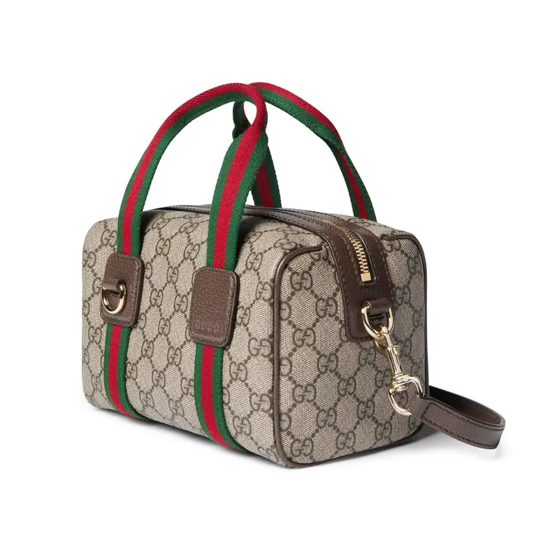 Gucci GG mini handbag