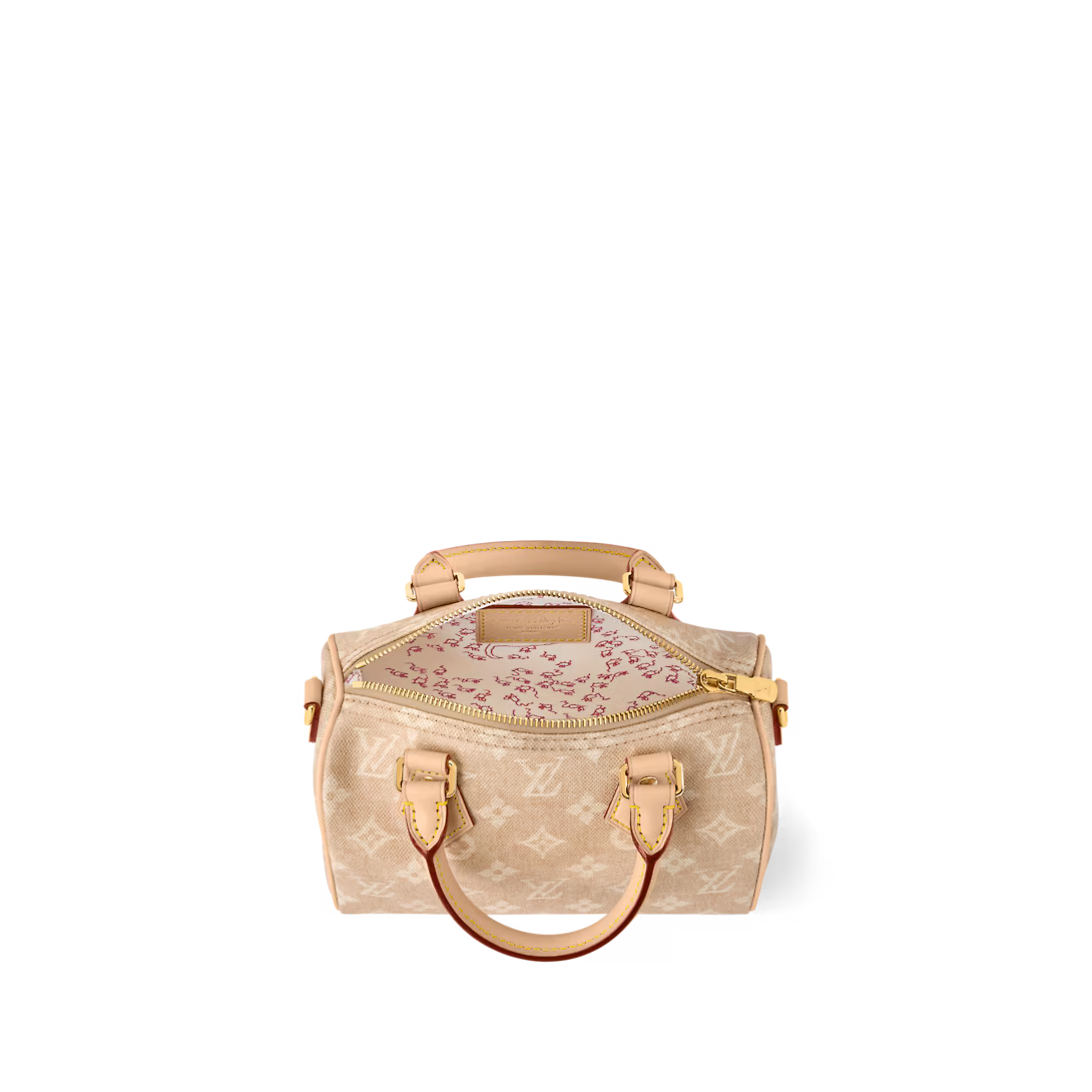 Louis Vuitton SPEEDY BANDOULIÈRE 20 handbag