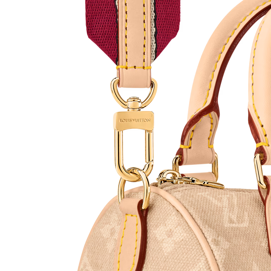 Louis Vuitton SPEEDY BANDOULIÈRE 20 handbag