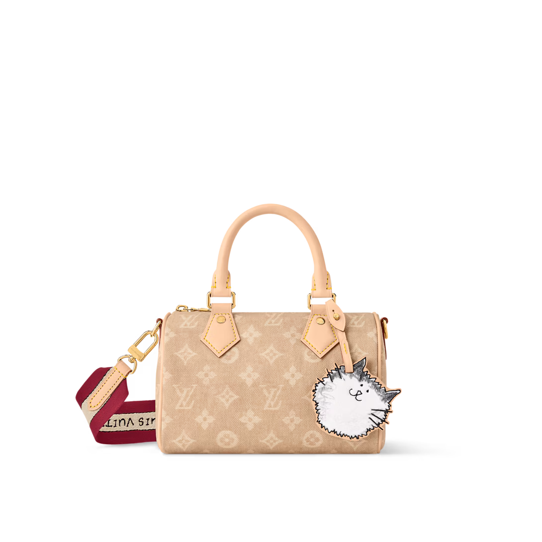 Louis Vuitton SPEEDY BANDOULIÈRE 20 handbag